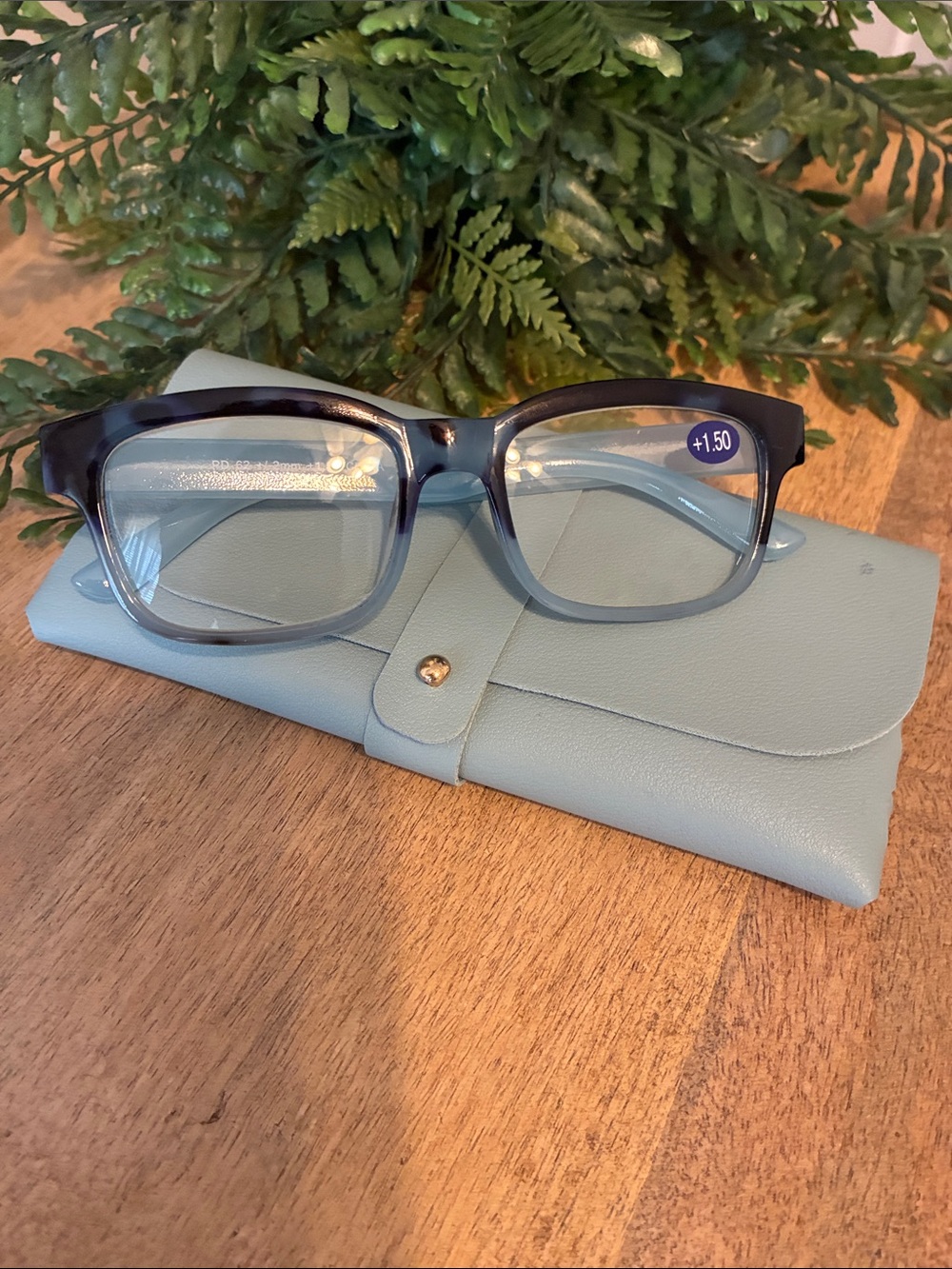 New Blue Reading Glasses with Case - +1.00